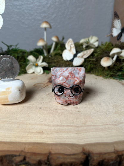 Pet rock with Glasses