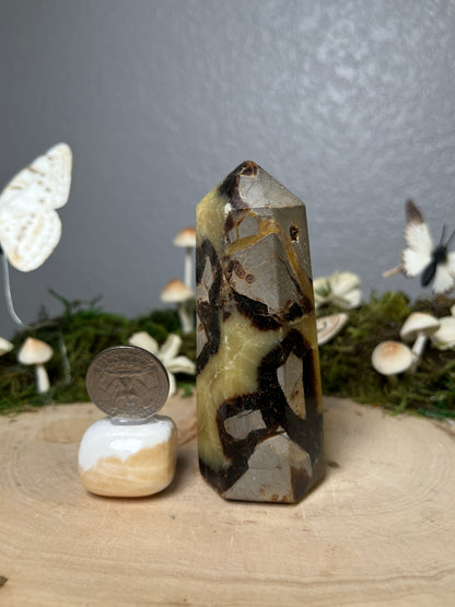 Septarian Tower