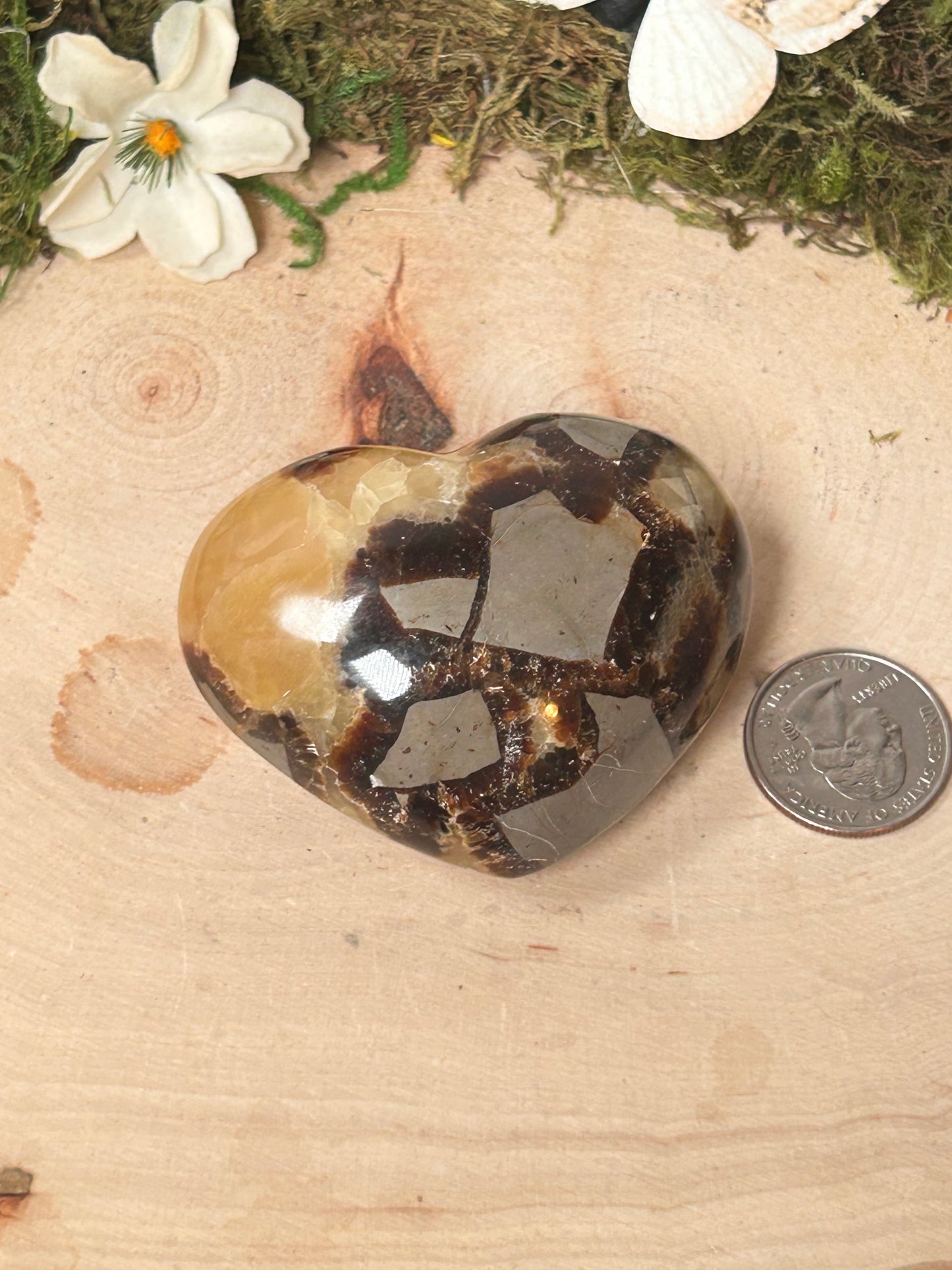 Septarian Heart