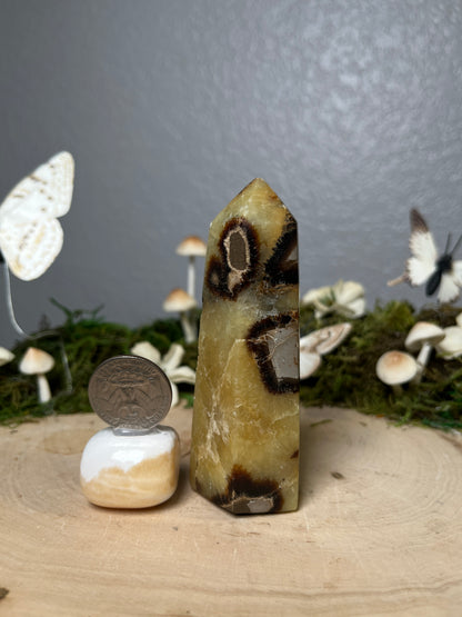 Septarian Tower