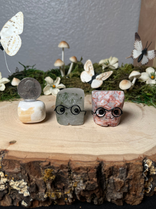 Pet rock with Glasses