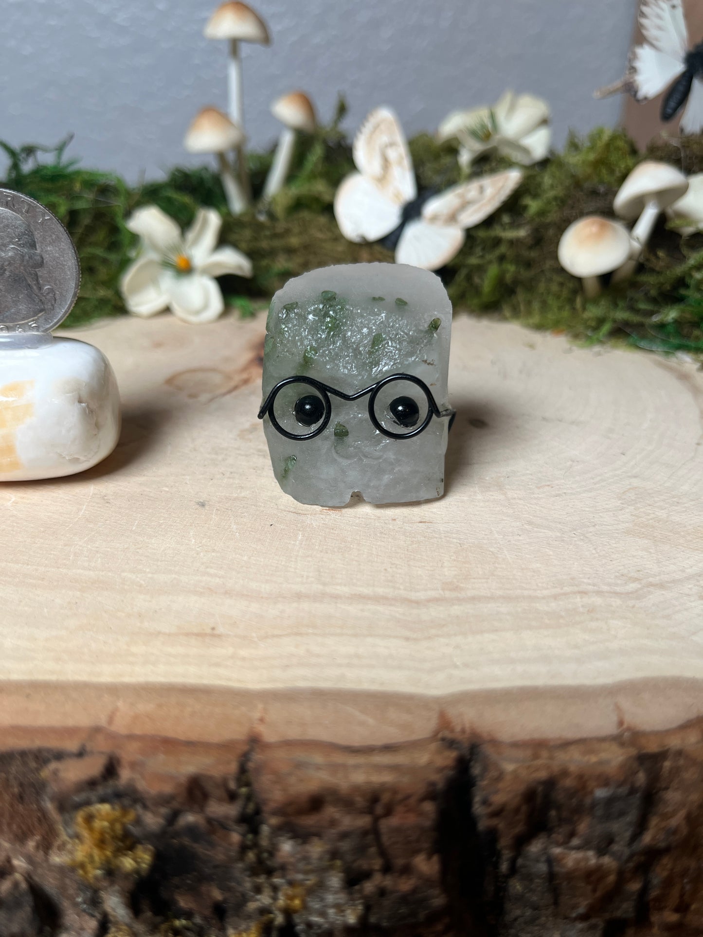 Pet rock with Glasses