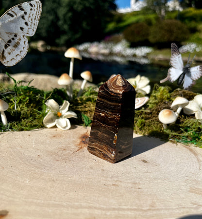 Chocolate Calcite Towers