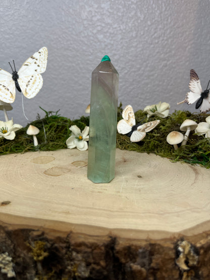 Fluorite Points