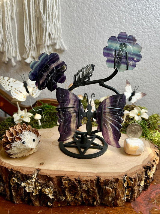 Fluorite butterfly with flowers