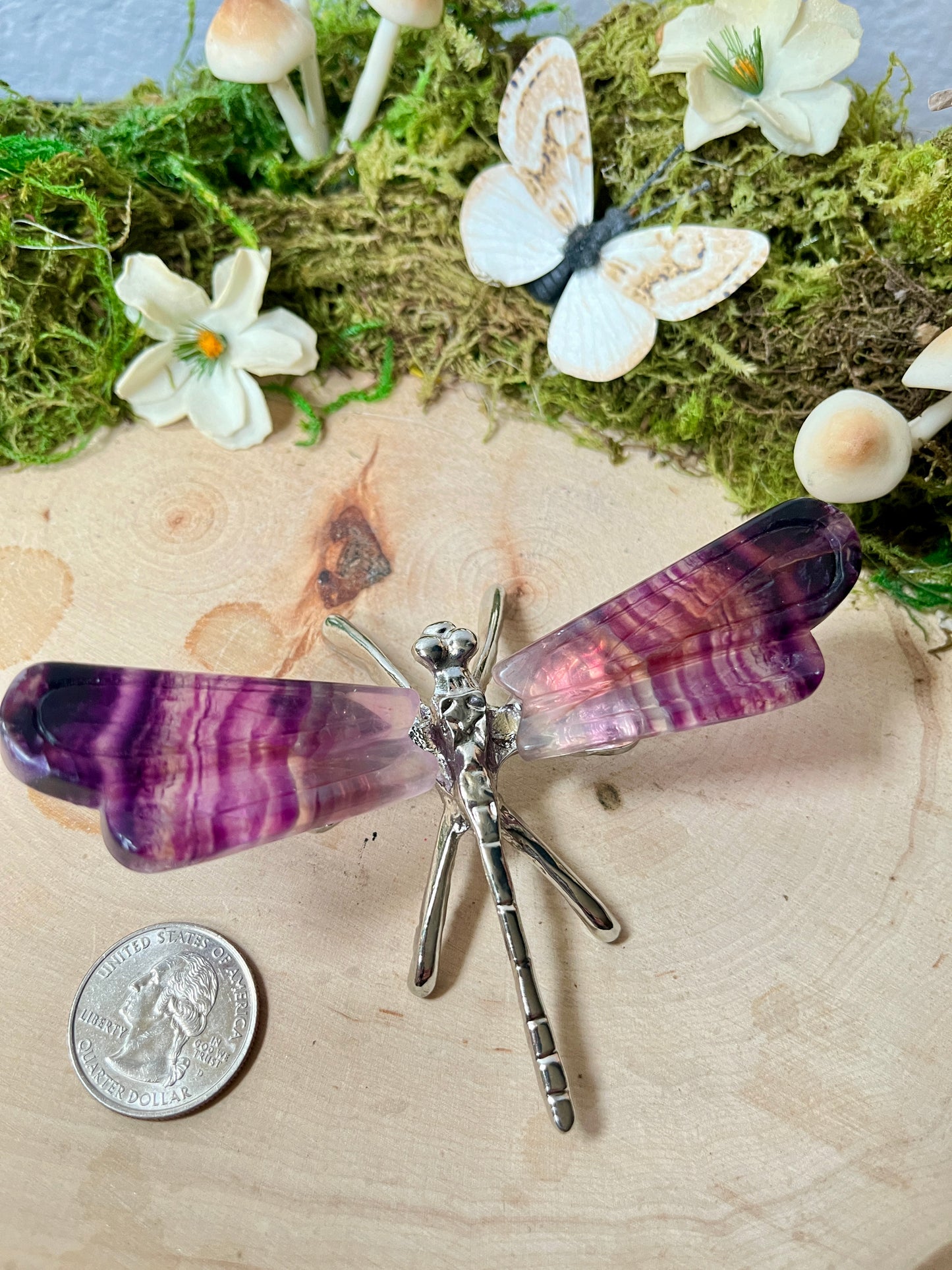 Fluorite Dragonfly