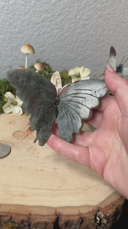 Labradorite Butterfly